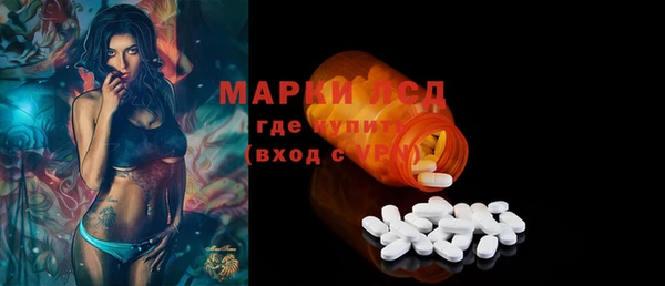 гашик Аркадак