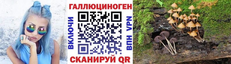 как найти закладки  ОМГ ОМГ   Псилоцибиновые грибы Psilocybine cubensis  Крым 